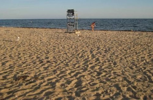 West Hyannisport Cottage | Pet Friendly Home Mid Cape Across From Beach