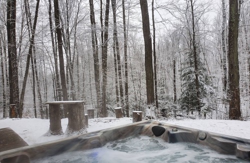 Luther Cabin | Pet friendly, hot tub, cabin