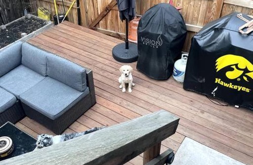 Arapahoe Ridge House | Pet friendly in Boulder! Minutes from CU & Pearl!