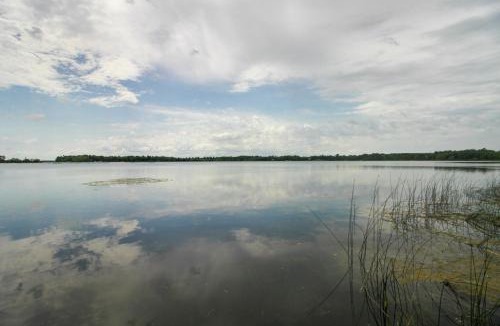 Alexandria House | Pet Friendly Lakefront Home: Dock, Kayaks & More!