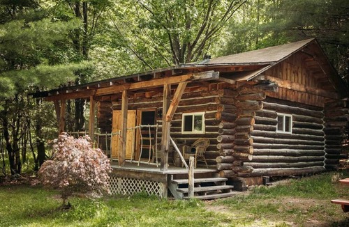 Penn Yan House | Pet Friendly Log Cabin