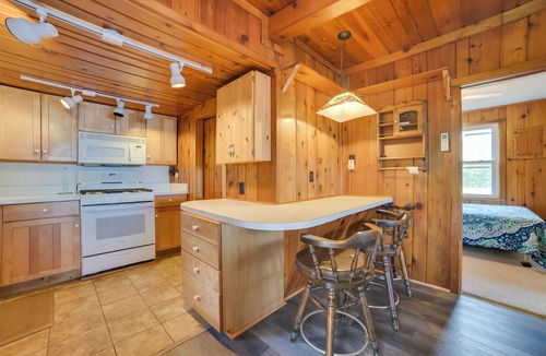 Indian River Cabin | Pet Friendly Mullett Lake Cabin w/Dock!