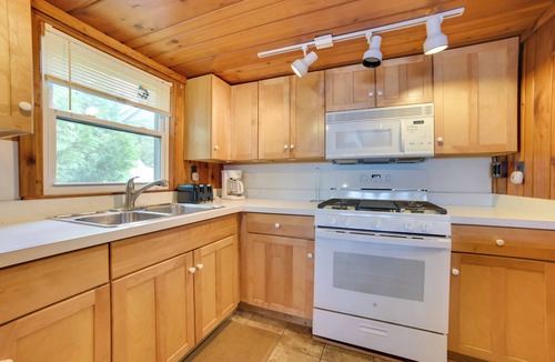 Indian River Cabin | Pet Friendly Mullett Lake Cabin w/Dock!