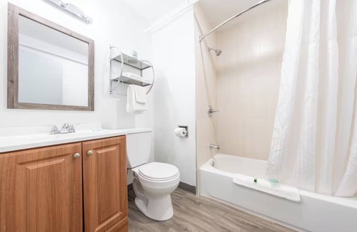 Hollywood District Hotel | Pet-Friendly Queen Room with Essentials Near Restaurants + Free Parking