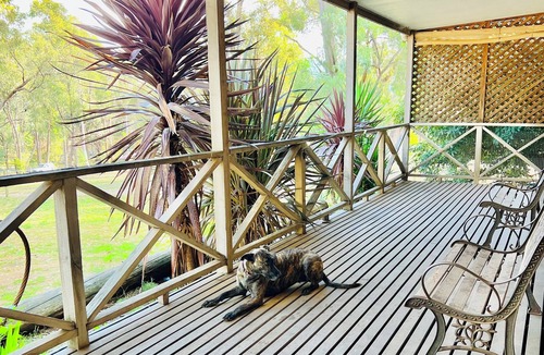 Lima East House | Pet Friendly Retreat Mansfield Area