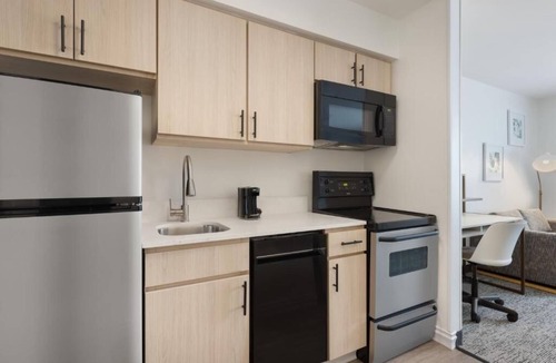 Westshore Hotel | Pet-Friendly Studio with Full Kitchen Perfect for Extended Stays in Tampa