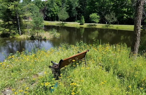 North Creek Cabin | PET-FRIENDLY - Twilight Cabin a Unique Waterfront Log Cabin