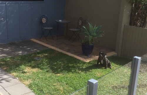 Labrador Apartment | pet friendly water front 1 x bed apartment