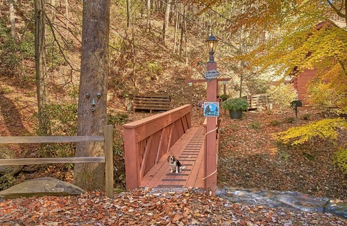 Chalet Village Cabin | Pet paradise | Affordable | scenic