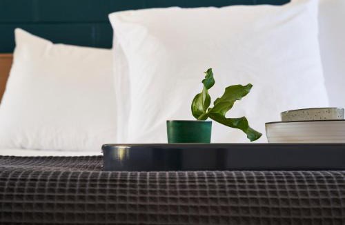 Peterborough Hotel | Peterborough House