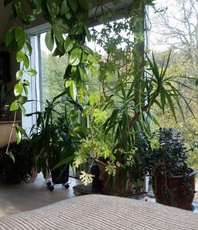 Odder Bed & Breakfast | Petersholm