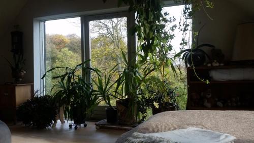 Odder Bed & Breakfast | Petersholm