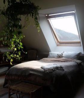 Odder Bed & Breakfast | Petersholm