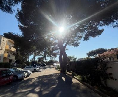 Les Sablettes Apartment | petit bijou