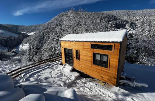 Villard-de-Lans Ski Chalet | Petit chalet Cosy