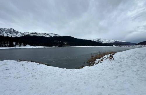 Bagneres-de-Bigorre Apartment | Petit cocon des Pyrénées