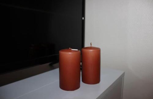 Clermont Ferrand City Centre Apartment | Petit Cocon dans le centre de Clermont-ferrand