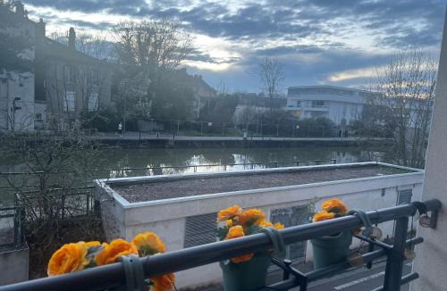 Rives de Meurthe Apartment | Petit cocon proche de Stanislas