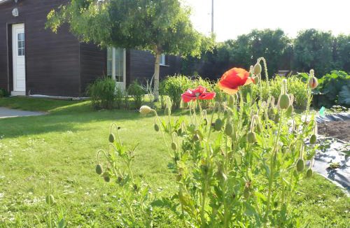 Saint-Leonard Apartment | Petit Gîte Douillet L'abri Côtier
