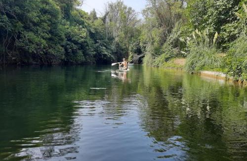Le Cannet-des-Maures House | Petit Moulin