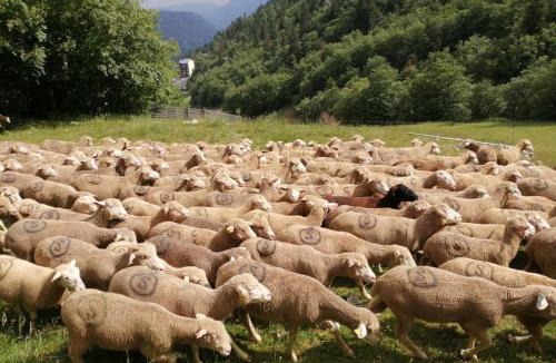 Col de Rousset Apartment | petit nid montagnard