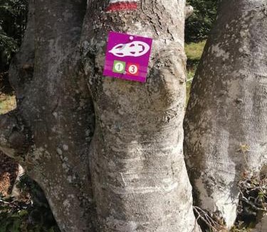 Col de Rousset Apartment | petit nid montagnard