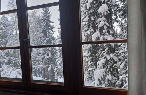 Enveitg Apartment | Petit Niu de Montagne - Cozy mountain apartment