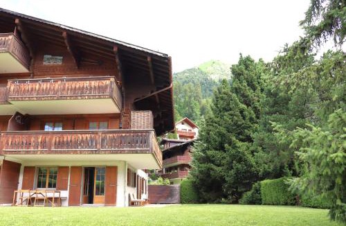 Chateau-d'Oex Apartment | Petit Pré A