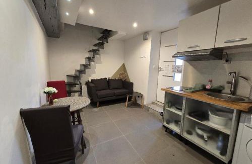 Le Fief-Sauvin Apartment | Petit studio fief