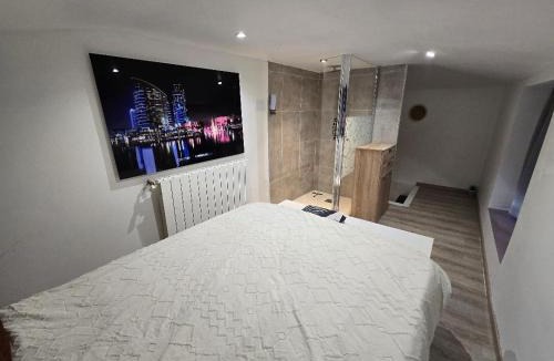 Le Fief-Sauvin Apartment | Petit studio fief