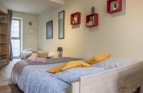 Bourgogne Apartment | Petit studio hypercentre d'Orléans avec jardin