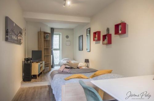 Bourgogne Apartment | Petit studio hypercentre d'Orléans avec jardin