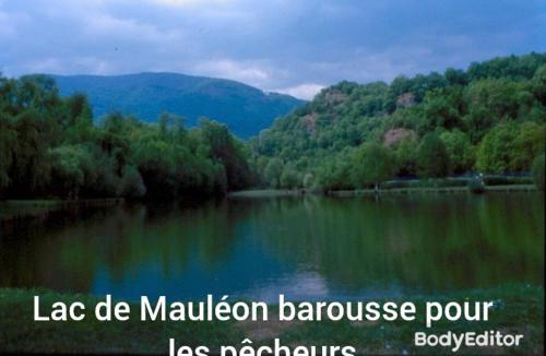 Mauleon-Barousse Apartment | Petit village authentique
