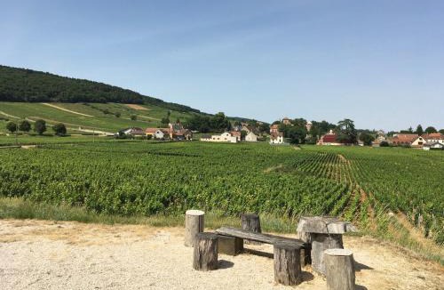 Gevrey-Chambertin Apartment | Petite chambre indépendante, parking