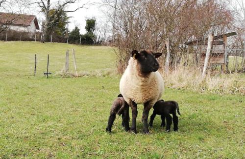 Val-Sonnette House | Petite longère du Clos Madeleine