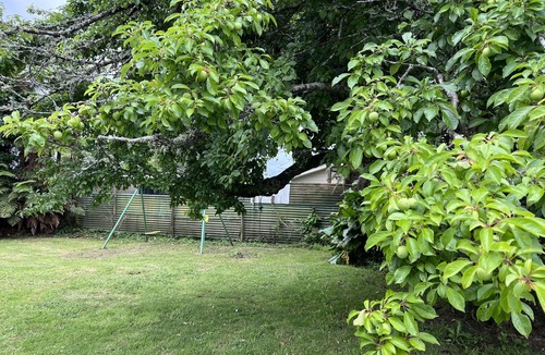 Ngongotaha House | Petri Bach