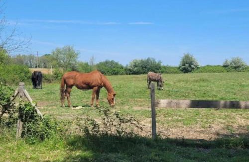 Sistels House | Pey Sud