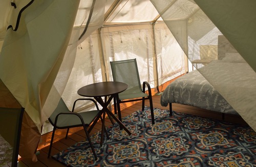 Newark Valley Other | Peyper Fields Creekside Camp