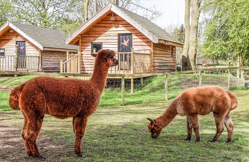 Bedale Cottage | PHEASANT, romantic, with a garden in Bedale