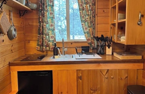 Lake Placid House | Phelps Hiker Cabin