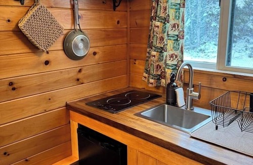 Lake Placid House | Phelps Hiker Cabin