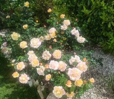 Matha Bed & Breakfast | Philippe et Éliane