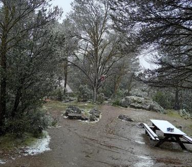 Tecate Municipality Other | Piñoneras del cóndor