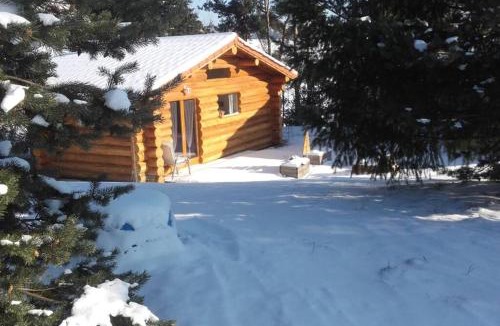 La Chapelle-d'Aurec House | Pialous:Chalet en rondins avec Espace Détente