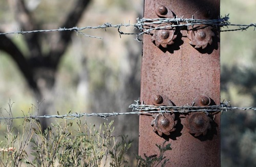 Quorn Cabin | Pichi Richi Park