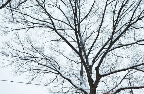 Pine Point House | PICON COZY