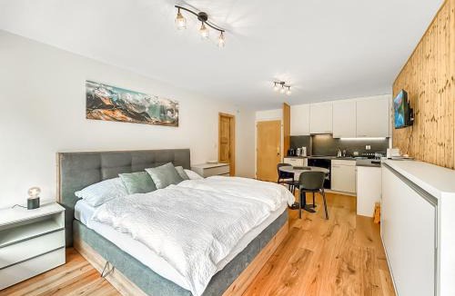 Vex Apartment | Pied de piste de Thyon - 4 Vallees
