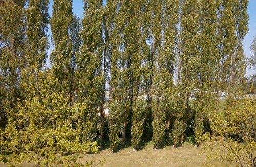 Le Touquet-Paris-Plage Apartment | PIERRE AND HOLIDAY APARTMENT LE TOUQUET