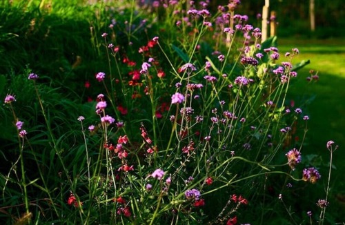 Upper Seagry Cabin | Piglet's House