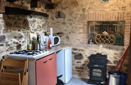Ladignac le Long Cottage | piglets porcherie rustic gite